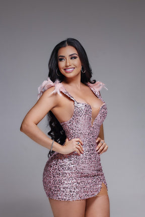 Vestido Plumisk